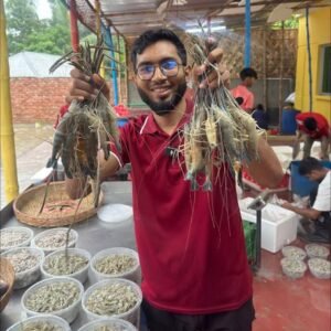 ৮ পিছ ৩ কেজি চিংড়ি মাছ (১৭০০×১)